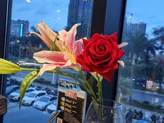 -法兰度航空主题餐厅(台山昌大昌店)