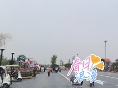 -荷兰花海