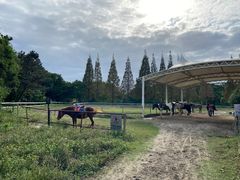 -太阳岛度假酒店