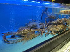-阿伟海鲜楼·福建菜(延寿店)