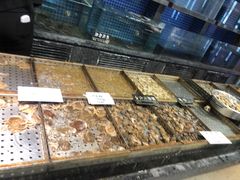 -鱼王府大酒店