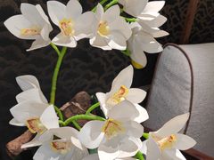 -鉴川·川菜传承(星汇两江店)