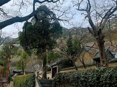 -青岛崂山太清宫