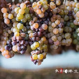 《菩提》