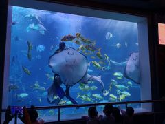 -太平洋海底世界