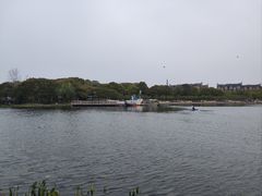 -新江湾城公园