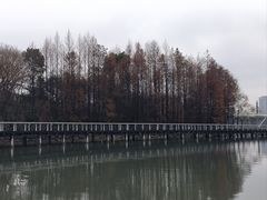-蠡湖大桥公园