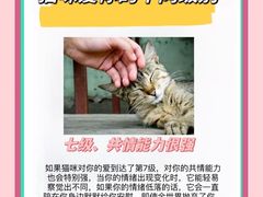 -美联众合动物医院·24h转诊中心