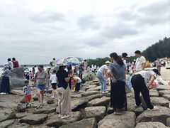 -宝安西湾红树林湿地公园