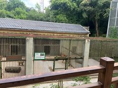 -合肥野生动物园