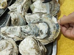 -蚝专家(北滘店)