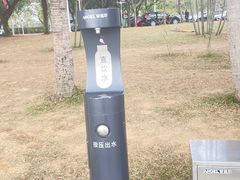 -深圳湾公园(南山区)
