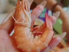 -宾朋海鲜饭庄(兴海路店)