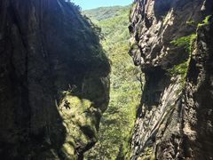 -牛背梁国家森林公园