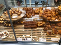 -蒲公英(五里店)