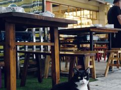 -金海椒罐罐鲢鱼(东方桂苑店)