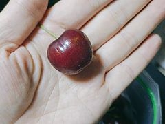 -盒马鲜生(杭州萧山万象汇店)