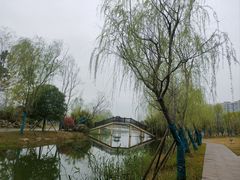 -洋湖国家湿地公园