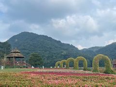 -广州市石门国家森林公园