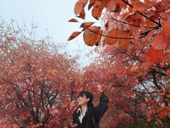-秦岭风景区