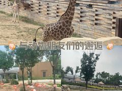 -太原动物园