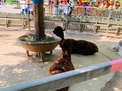 -石家庄市动物园