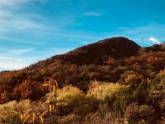 -阳台山自然风景区