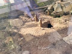 -大青山野生动物园