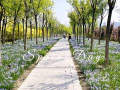 -天津东丽湖风景区