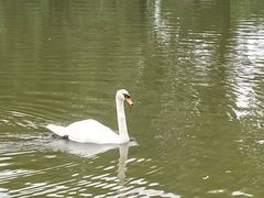 -哈尔滨北方森林动物园