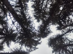 -硗碛藏寨·神木垒景区