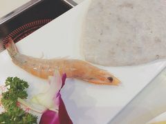 手打鲜虾滑-阿香婆欢乐火锅(淄博万象汇店)