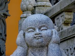 -铁山坪森林公园