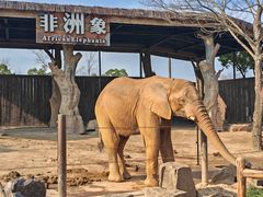 -上海野生动物园