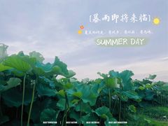 -嘉北郊野公园