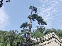 -潭柘寺景区