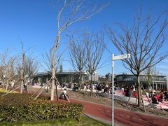 -上海山野camping·户外天幕烧烤·团建拓展营地
