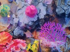 -秦皇岛新澳海底世界