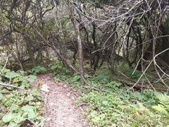 -终南山国家森林公园