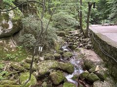 -陕西省红河谷森林公园