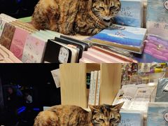 -猫的天空之城概念书店(杭州南宋御街店)