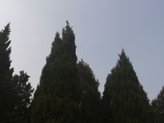 -秦始皇帝陵博物院-丽山园