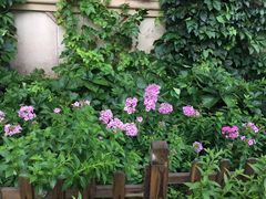 -北京张裕爱斐堡酒庄