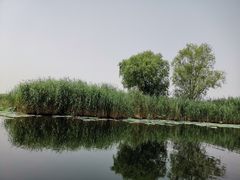 -白洋淀景区