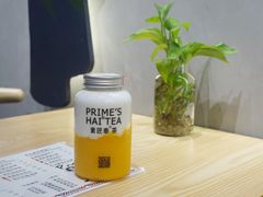 -素匠泰茶(三里屯SOHO工体奶茶店)