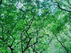 -苍岩山风景名胜区