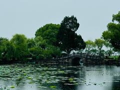 -无锡蠡湖国家湿地公园-蠡园