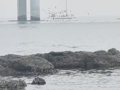 -黑石礁公园