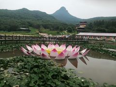 -帽儿山风景区