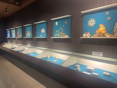 -青岛贝壳博物馆